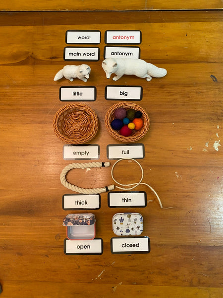 NEW~Antonyms Key Experience