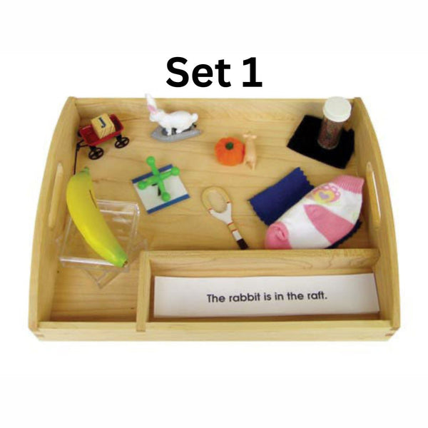 Blue Interpretive Sentences with Objects and Tray