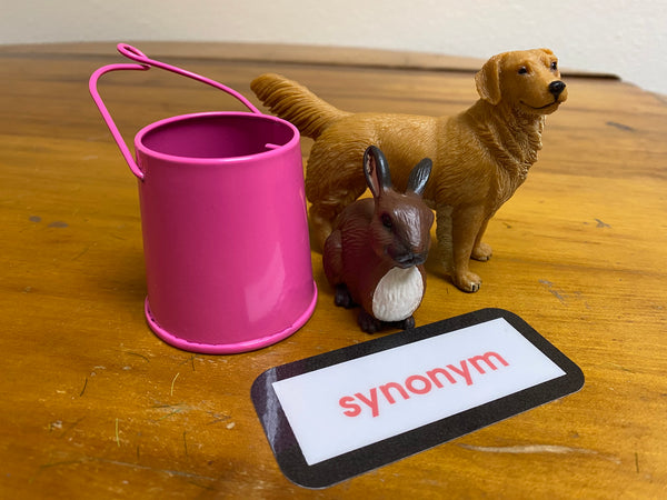 NEW~Synonyms Key Experience