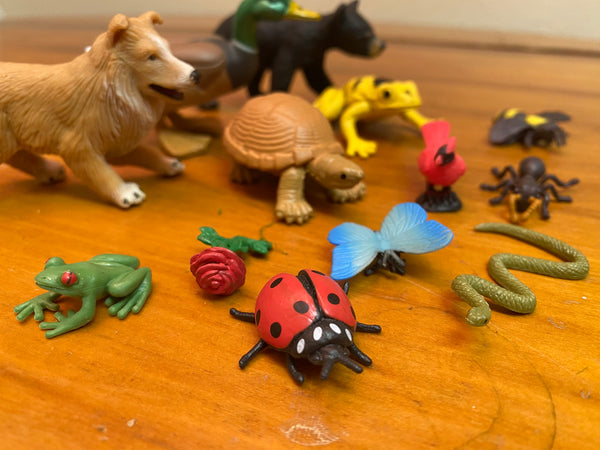 Phonetic Miniature Environment~The Pond