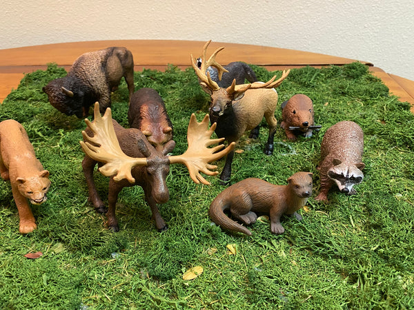 9: Mountain Lion, Bull moose, otter, raccoon, beaver, elk, wolf, bear, bison 4-6" figures