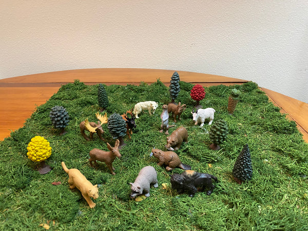 12 figures and 9 trees