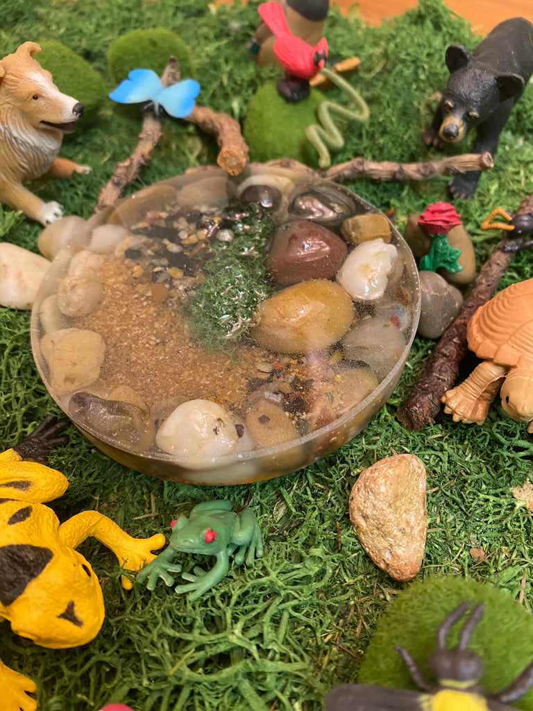 View from above of The Pond and