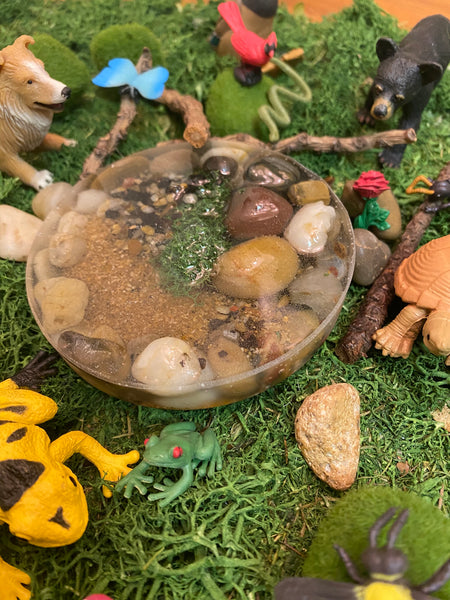 View from above of The Pond and