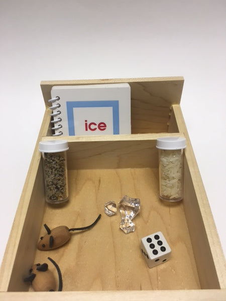 Assorted Containers and Trays