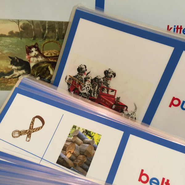 Close up of blue booklets laminated version