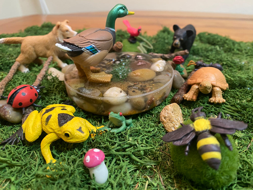 The Pond Miniature Environment BACK in stock!