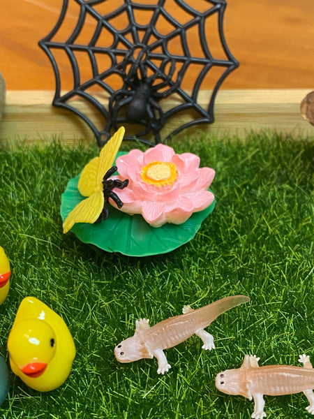 2 Miniature Environment: The Pond  Grammar Expansion Set