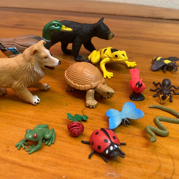 pup, duck, cub, frog, turtle, bee, bird, ant, snake, butterfly, ladybug, bud, tree frog