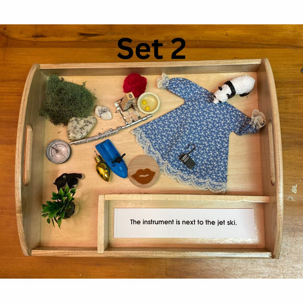 Blue Interpretive Sentences with Objects and Tray