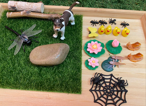 Logs, grass, large rock, dragonfly, Jack Russell Terrier, four ants, four ducklings, one yellow butterfly, three lily flowers with four leaves/pads, two snails, two axolotls, two spiders and one web.