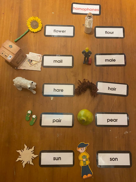 A wooden tabletop with educational word cards arranged in columns, each paired with small objects such as a flower, mail, male figurine, hair and hare, and other various objects. A small sign at the top reads 'homophones'.