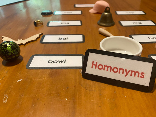 A wooden table with educational word cards and small objects, including a prominent card labeled 'Homonyms' in red text on a white background with a black border.  It is surrounded by cards such as 'bat', 'bowl', and 'ring', plus small props like a bell, cup, and decorative items.