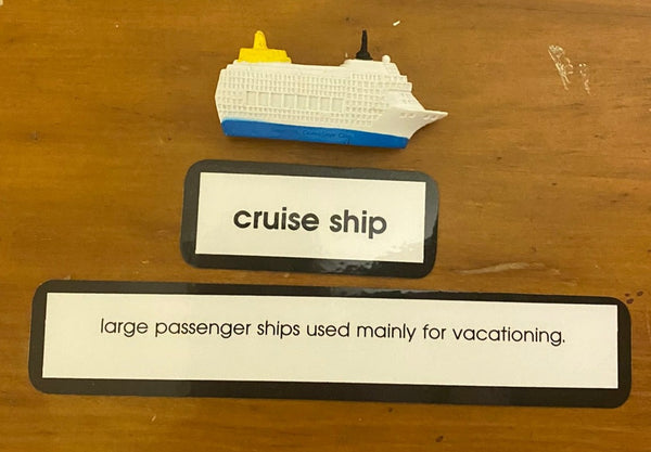 Miniature cruise ship with label that says cruise ship and a definition card below the label.