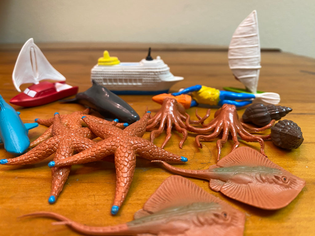 Miniature Environment: Coral Reef