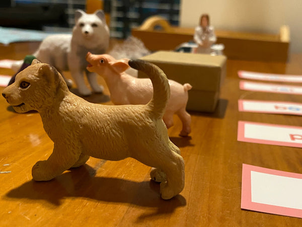 A set of small animal figurines, including a cub, a pig, and a dog, arranged on a wooden table next to matching name cards spelling out the animals.  Rhyming words.