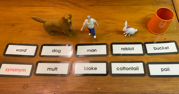 Objects and labels to illustrate synonyms.