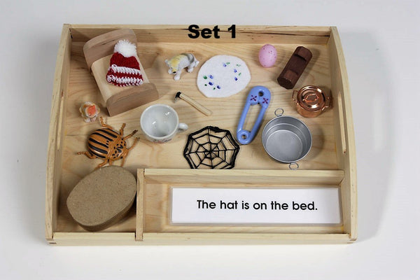 Pink Interpretive Sentences with Objects and Tray