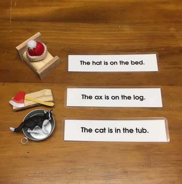 Pink Interpretive Sentences with Objects and Tray